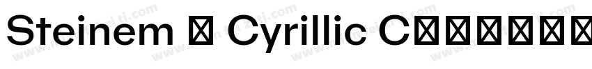 Steinem - Cyrillic C字体转换